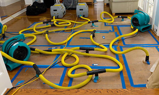 Professional Structural Drying And Dehumidification technician working in Arcanum, OH